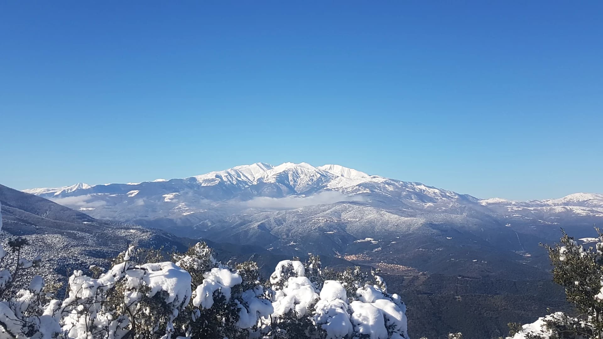 Canigó
