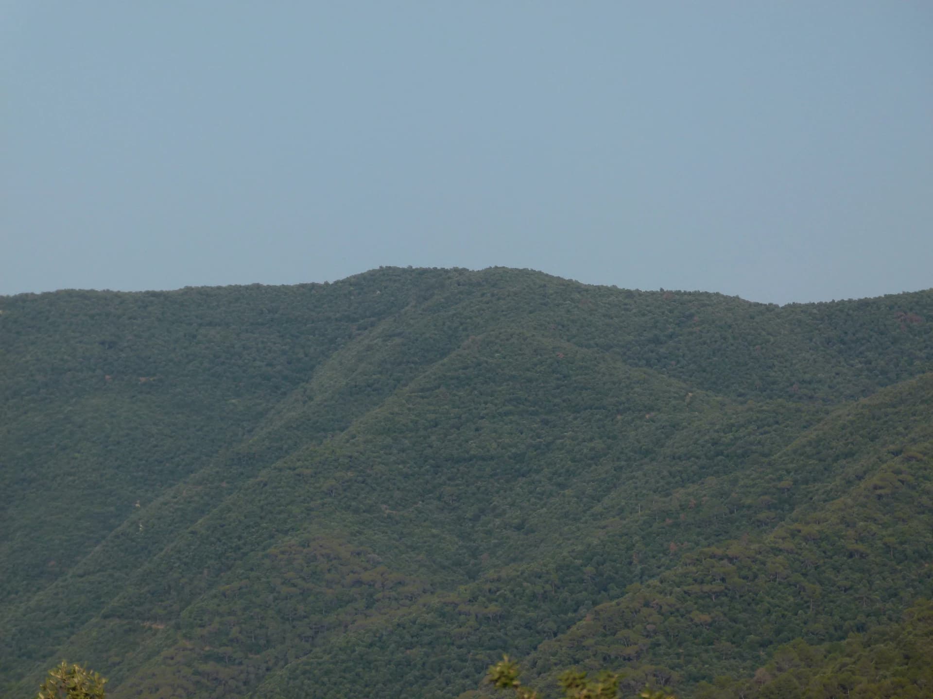Pere López Brosa - Roca Centella