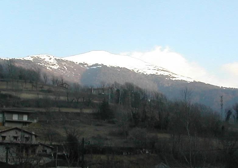Taga
