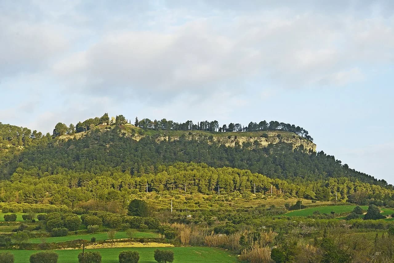 Alberto-g-rovi - Tossa de Montbui (2)