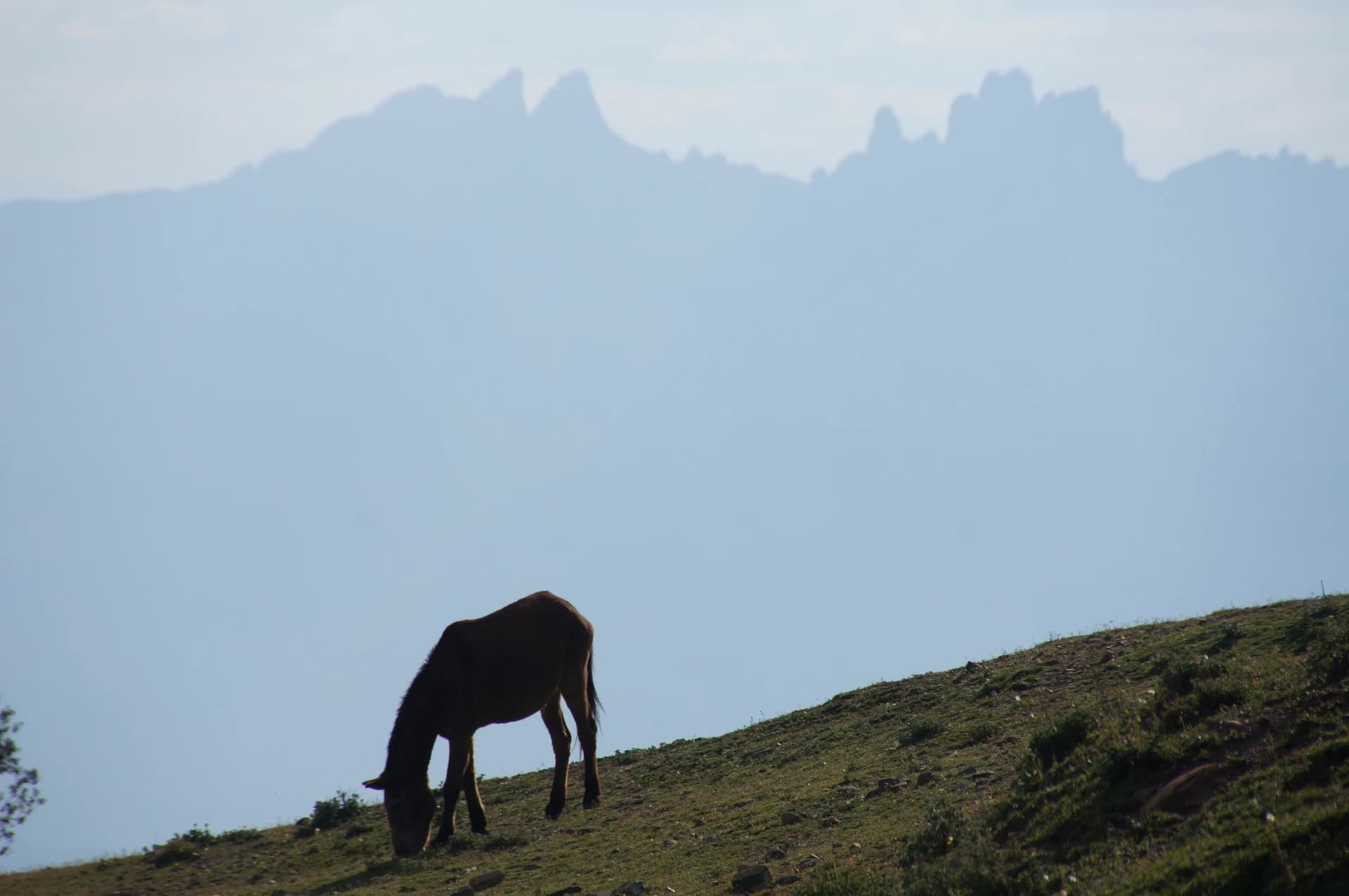 DagafeSQV - This is a a photo of an emblematic summit in Catalonia, Spain, with id: