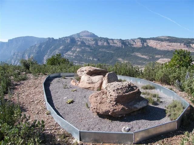 Catalaalatac - Dolmen de Roca Sareny, situat als peus del turó de Roca Sareny, al vessant sud. Fotografia feta per Jordi Guillemot Marcet.
