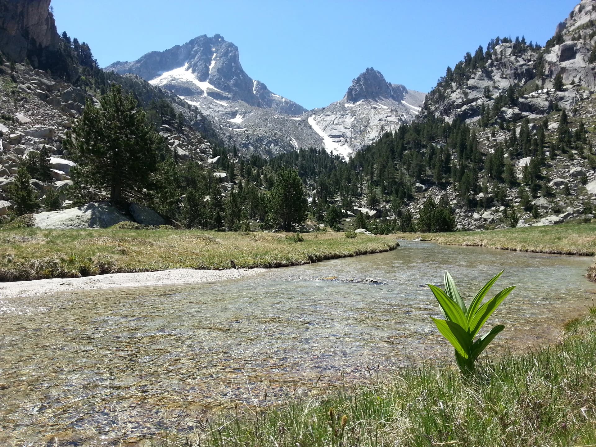 Eduardps - This is a a photo of a natural area in Catalonia, Spain, with id: