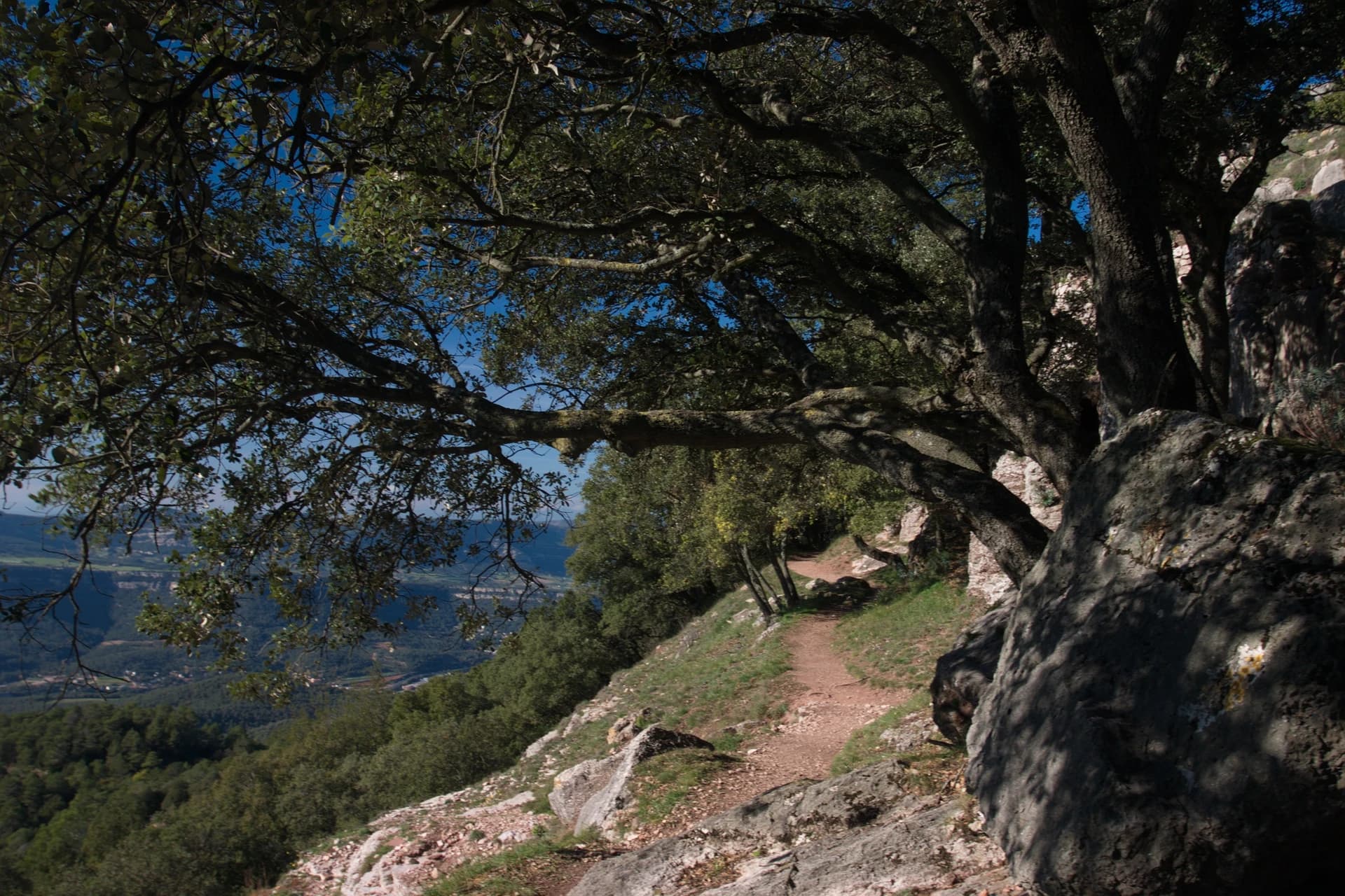Amadalvarez - This is a a photo of an emblematic summit in Catalonia, Spain, with id: