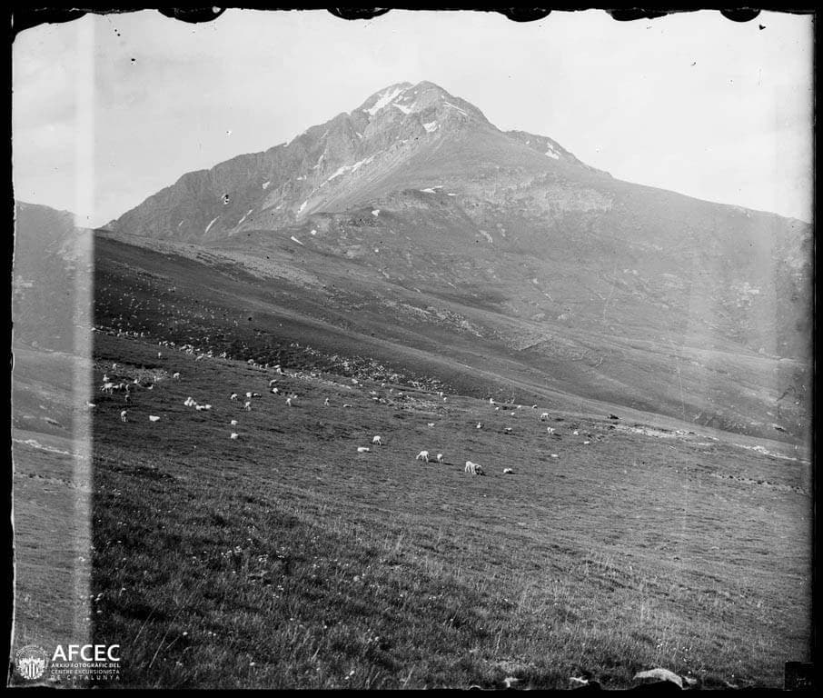 AnonymousUnknown author - Imatge