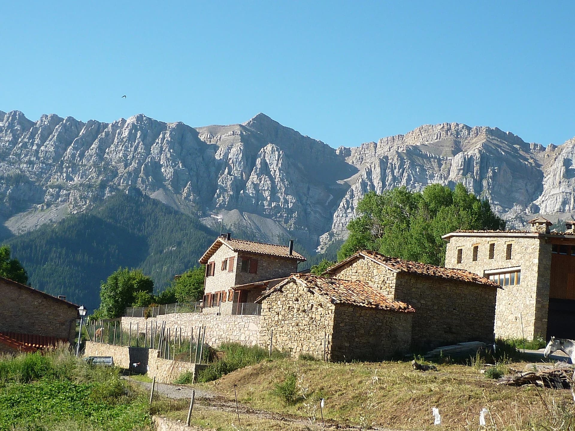 Coll de les Bassotes - Costa Cabirolera