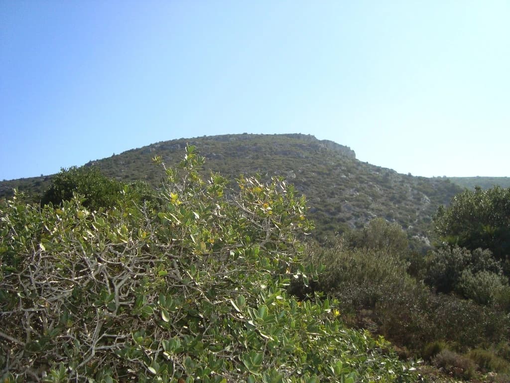 Lhmiquel - Puig de la Mola from path GR 92-5