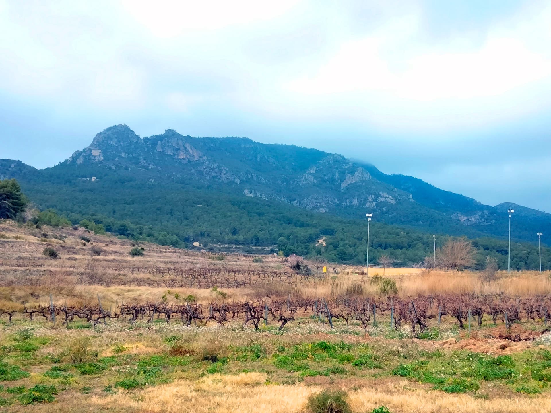 Enric - El Montmell-Marmellar