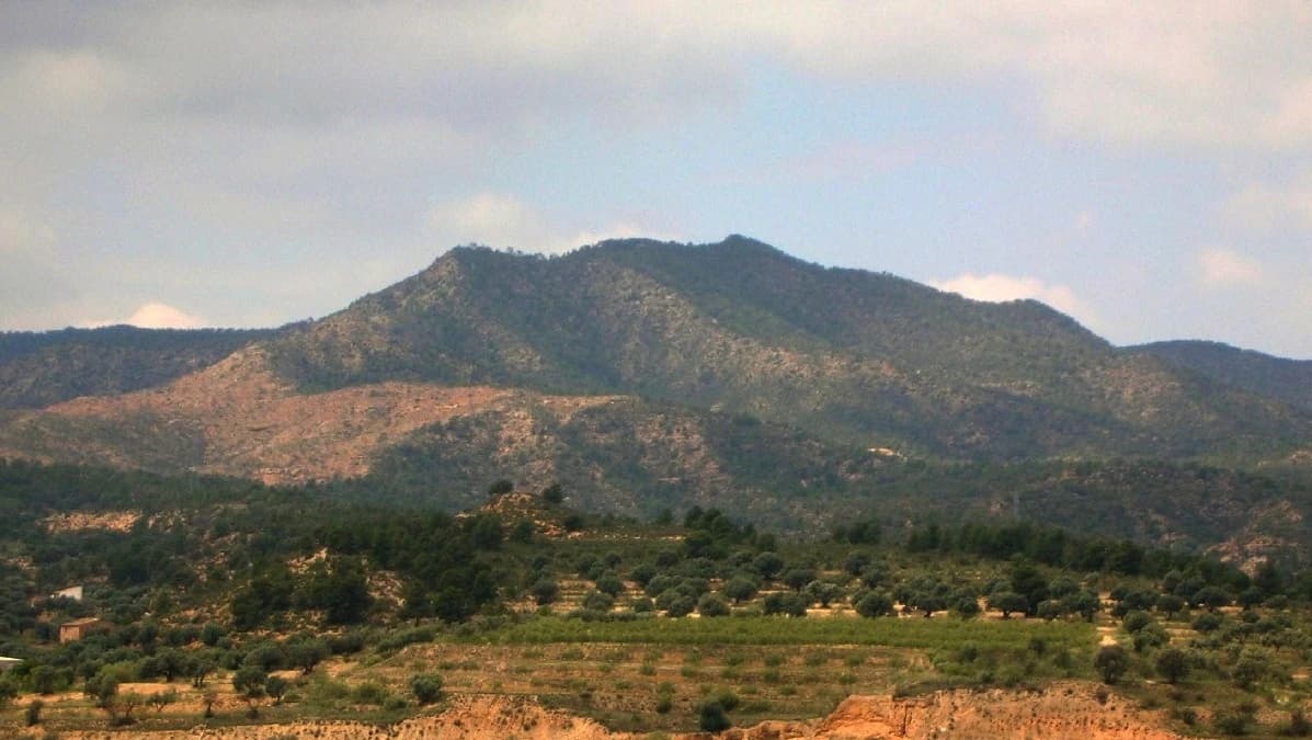 Puntal dels Escambrons