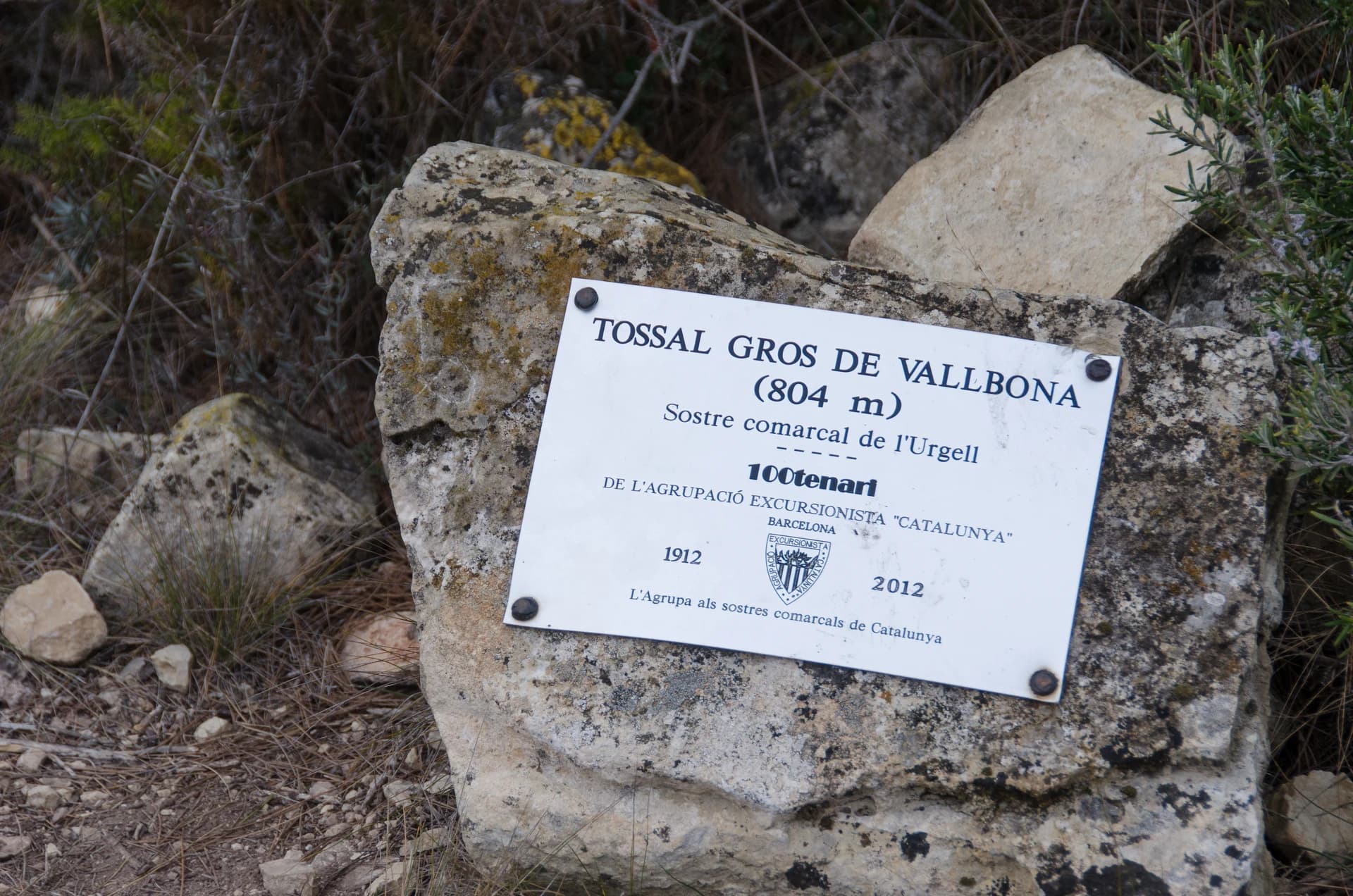 Tossal Gros de Vallbona